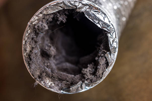 Best Air Duct Cleaning Near Me  in Encinitas, CA